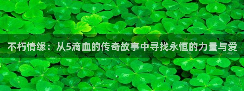 不朽情缘：从5滴血的传奇故事中寻找永恒的力量与爱