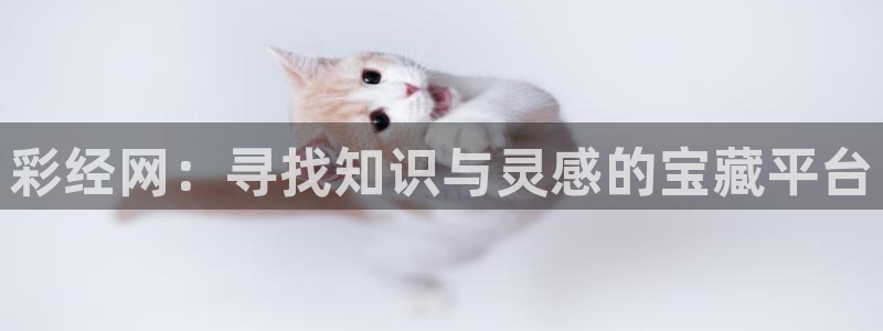 彩经网：寻找知识与灵感的宝藏平台