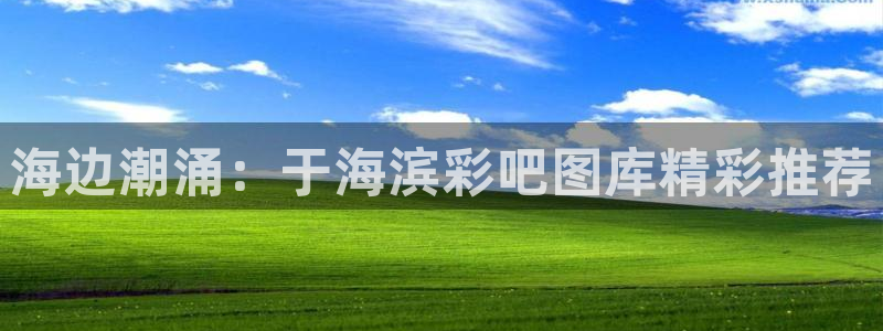 7790必发集团：海边潮涌：于海滨彩吧图库精彩推荐