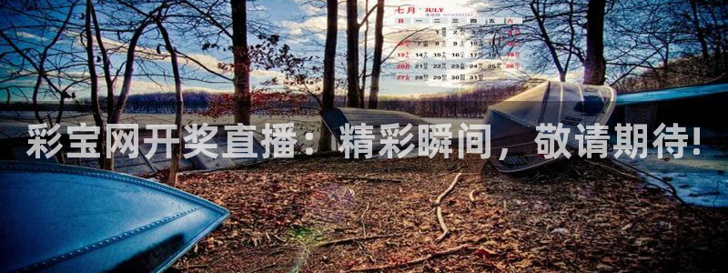 东莞市7790必发集团电子科技有限公司：彩宝网开奖直播：精彩瞬间，敬请期待!