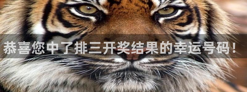 7790必发集团凯捷注册：恭喜您中了排三开奖结果的幸运号码！