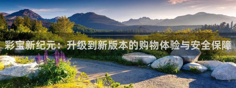 东莞市7790必发集团电子科技有限公司：彩宝新纪元：升级到新版本的购物体验与安全保障
